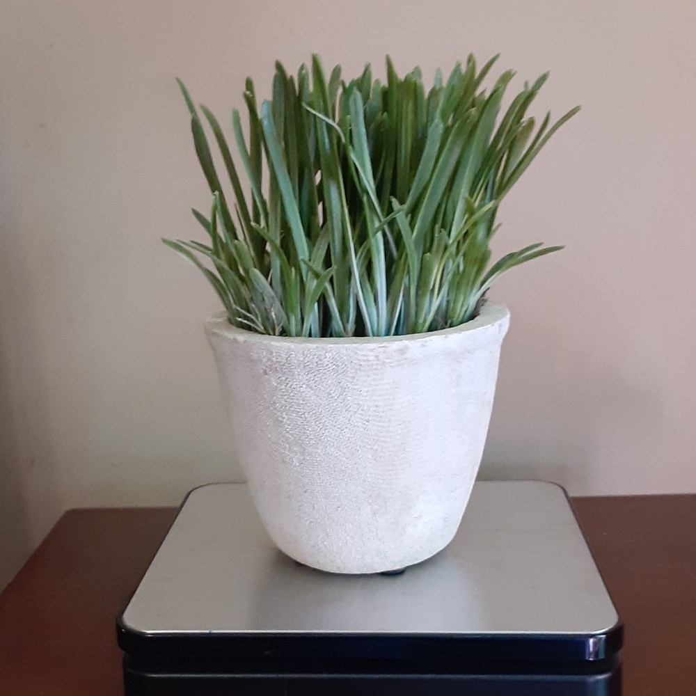 Potted Faux Grass Decor